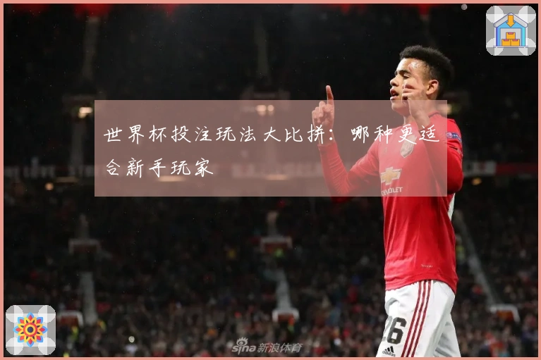 世界杯投注玩法大比拼：哪种更适合新手玩家