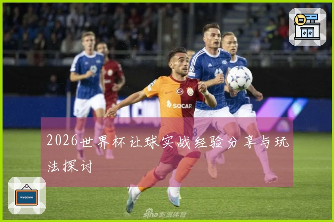 2026世界杯让球实战经验分享与玩法探讨