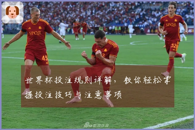 世界杯投注规则详解,教你轻松掌握投注技巧与注意事项