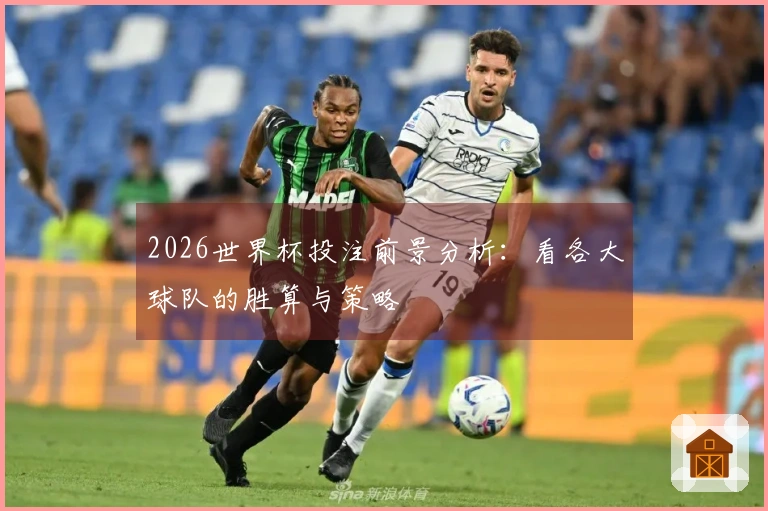 2026世界杯投注前景分析：看各大球队的胜算与策略