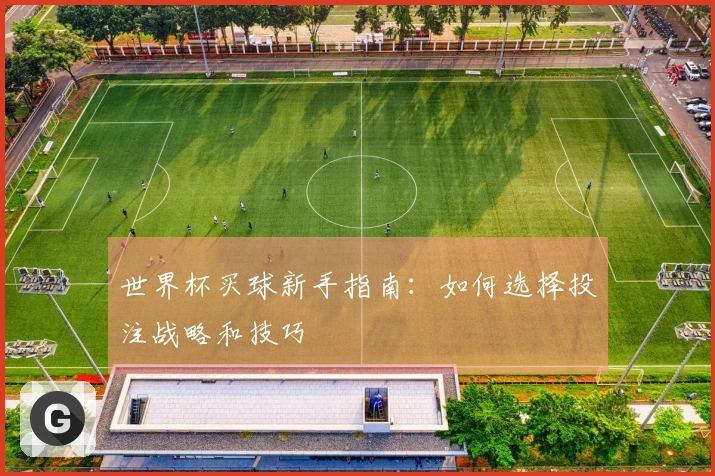 世界杯买球新手指南：如何选择投注战略和技巧