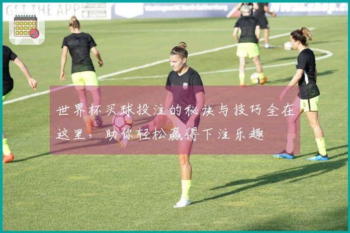 世界杯买球投注的秘诀与技巧全在这里，助你轻松赢得下注乐趣