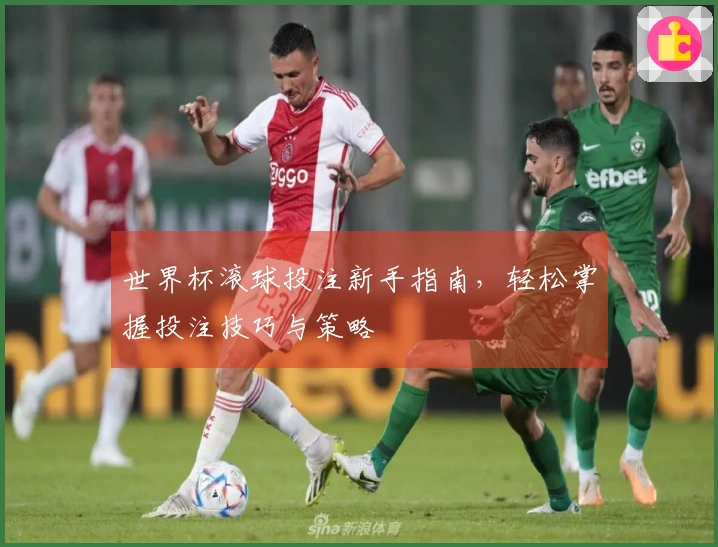 世界杯滚球投注新手指南，轻松掌握投注技巧与策略