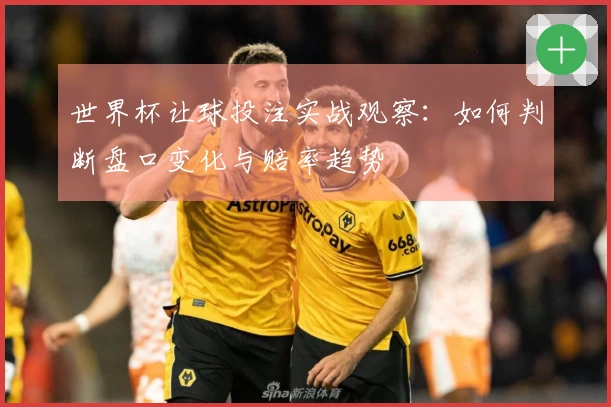 世界杯让球投注实战观察：如何判断盘口变化与赔率趋势