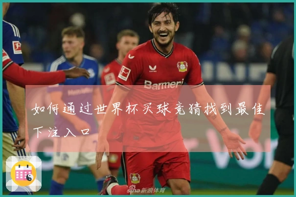 如何通过世界杯买球竞猜找到最佳下注入口