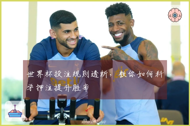 世界杯投注规则透析，教你如何科学押注提升胜率