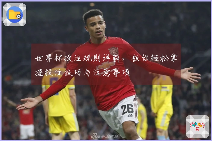 世界杯投注规则详解，教你轻松掌握投注技巧与注意事项