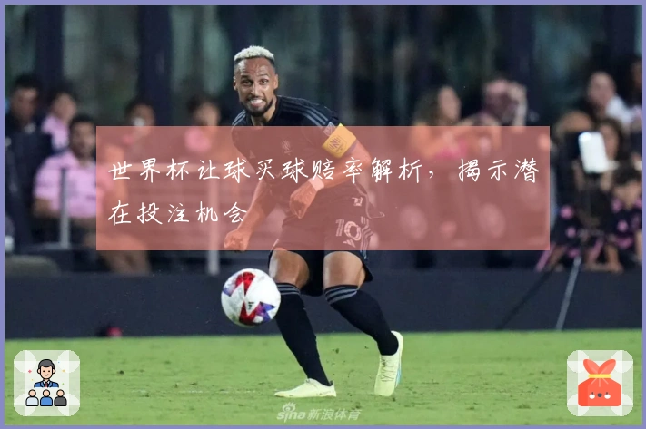 世界杯让球买球赔率解析，揭示潜在投注机会