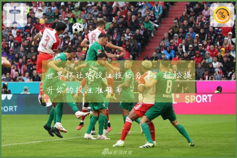 世界杯让球投注技巧分享，轻松提升你的投注准确率