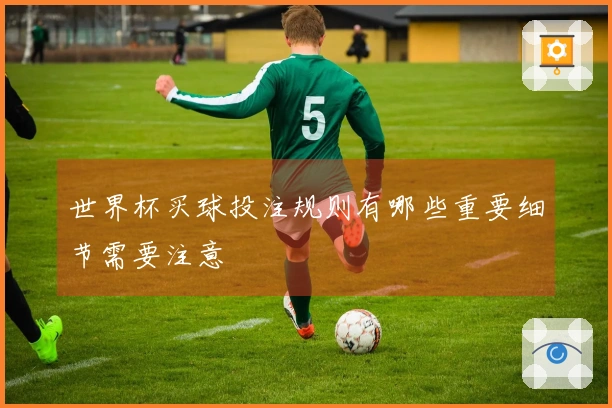 世界杯买球投注规则有哪些重要细节需要注意