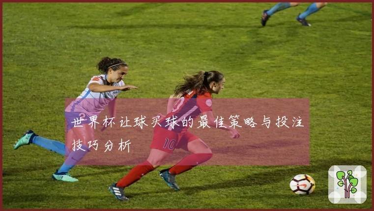 世界杯让球买球的最佳策略与投注技巧分析