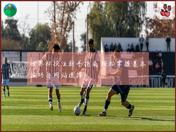 世界杯投注新手指南 轻松掌握基本技巧与网站选择