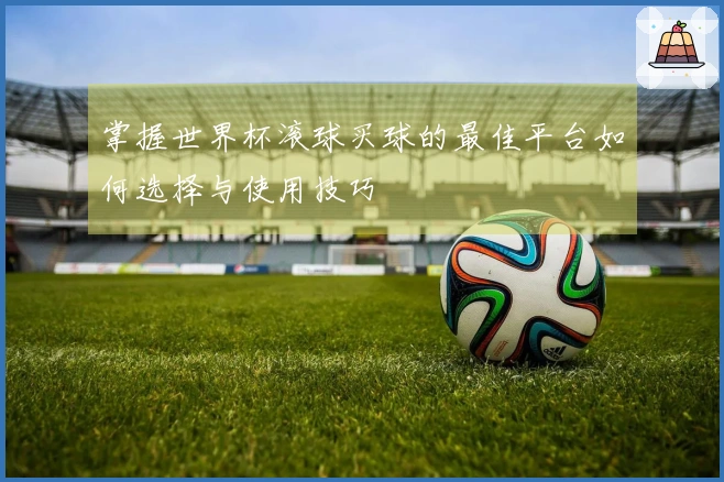 掌握世界杯滚球买球的最佳平台如何选择与使用技巧