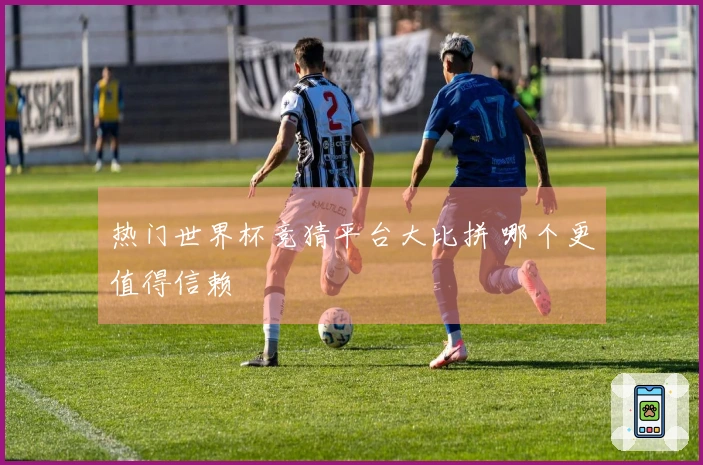 热门世界杯竞猜平台大比拼 哪个更值得信赖