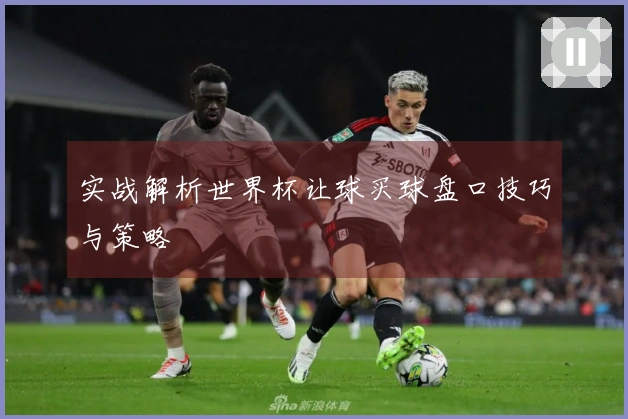 实战解析世界杯让球买球盘口技巧与策略