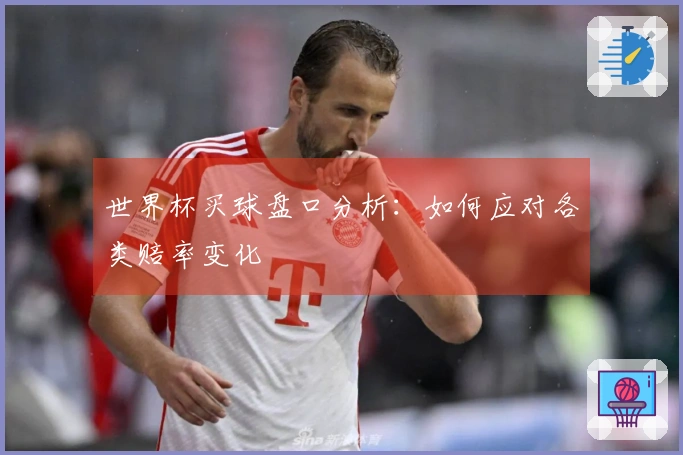 世界杯买球盘口分析：如何应对各类赔率变化