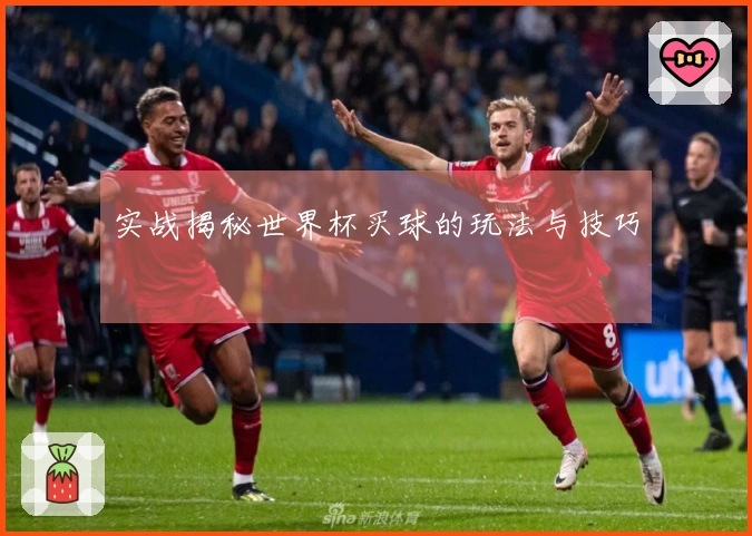 实战揭秘世界杯买球的玩法与技巧