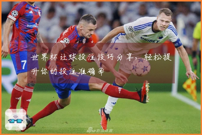 世界杯让球投注技巧分享，轻松提升你的投注准确率