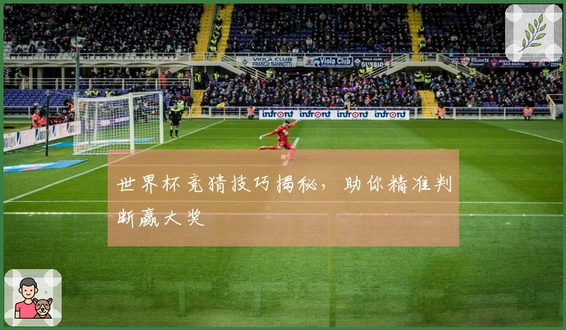 世界杯竞猜技巧揭秘，助你精准判断赢大奖